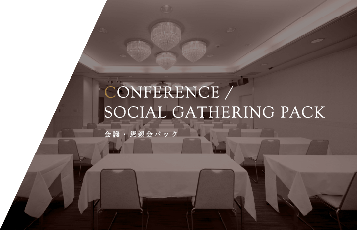 CONFERENCE / SOCIAL GATHERING PACK